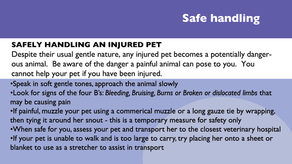 Pet First Aid (Veterinary edition)