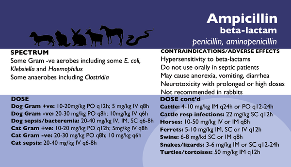 Veterinary Antimicrobials